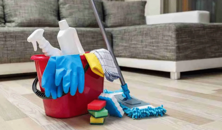Why Charlotte, NC Residents Are Switching to Recurring House Cleaning and Pest Control Services