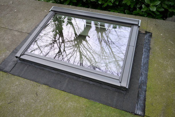 The Ultimate Guide to Online Skylight Flat Roof Windows