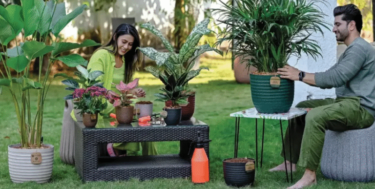 Top Benefits of Purchasing Wholesale Planters for Landscapes and Home Gardens